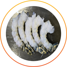 Raw Peeled Deveined Tail OnTigerShrimp